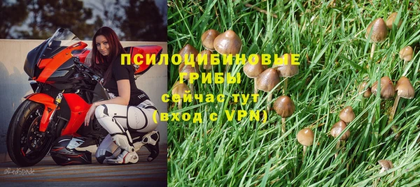 твердый Балахна