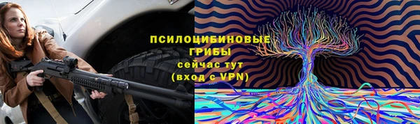 твердый Балахна