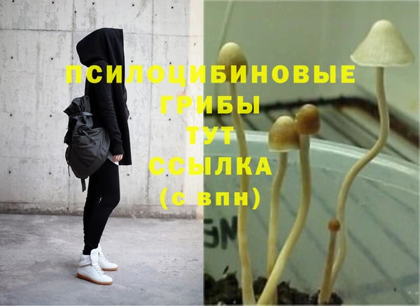 твердый Балахна