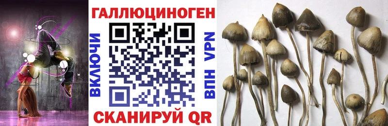 МЕГА как войти  Белый  маркетплейс формула  Псилоцибиновые грибы прущие грибы 